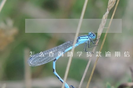 怎么查询助学贷款逾期信息 怎么查询助学贷款逾期信息