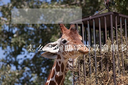 怎么查询助学贷款逾期多少次 怎么查询助学贷款逾期多少次