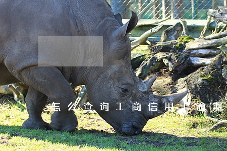 怎么查询工商信用卡逾期多久了