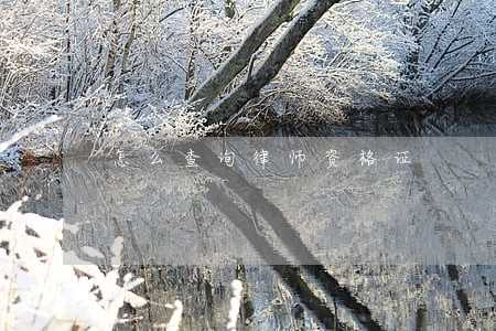 怎么查询律师资格证 怎么查询律师资格证