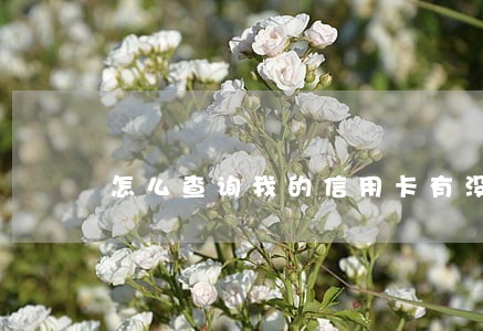 怎么查询我的信用卡有没有逾期