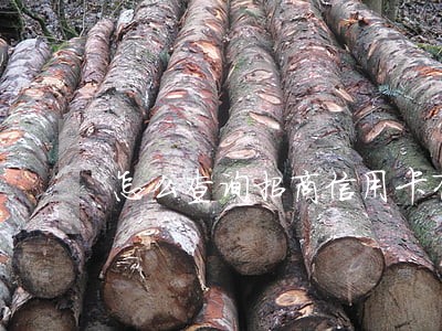 怎么查询招商信用卡有没有逾期 怎么查询招商信用卡有没有逾期