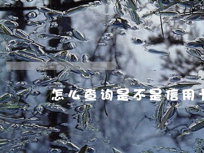 怎么查询是不是信用卡逾期 怎么查询是不是信用卡逾期