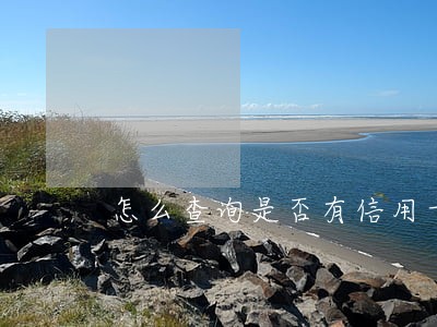 怎么查询是否有信用卡还款逾期