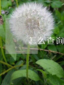 怎么查询网上信用卡逾期记录 怎么查询网上信用卡逾期记录