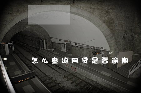 怎么查询网贷是否逾期 怎么查询网贷是否逾期