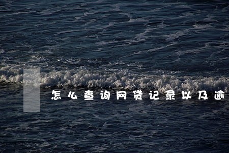 怎么查询网贷记录以及逾期情况