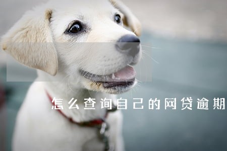 怎么查询自己的网贷逾期平台 怎么查询自己的网贷逾期平台