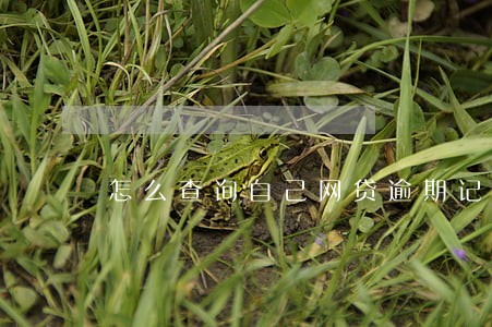 怎么查询自己网贷逾期记录 怎么查询自己网贷逾期记录