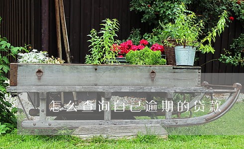 怎么查询自己逾期的贷款 怎么查询自己逾期的贷款