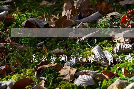 怎么查询自己银行有没有逾期 怎么查询自己银行有没有逾期