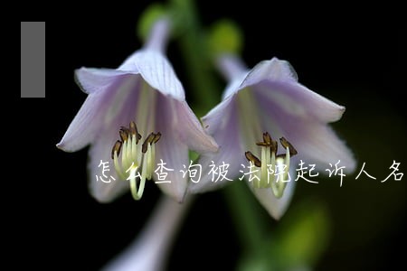 怎么查询被法院起诉人名单 怎么查询被法院起诉人名单