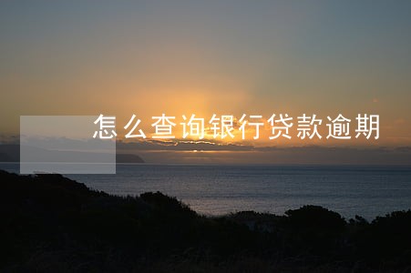 怎么查询银行贷款逾期