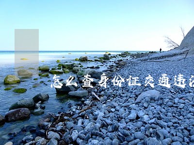 怎么查身份证交通违法