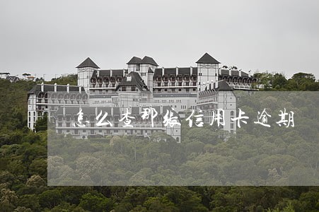 怎么查那张信用卡逾期 怎么查那张信用卡逾期