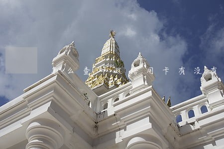 怎么查邮政信用卡有没有逾期 怎么查邮政信用卡有没有逾期