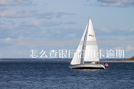 怎么查银行信用卡逾期 怎么查银行信用卡逾期