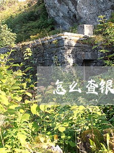 怎么查银行有没有逾期记录 怎么查银行有没有逾期记录