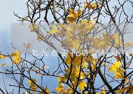 怎么查银行贷款有没有逾期 怎么查银行贷款有没有逾期