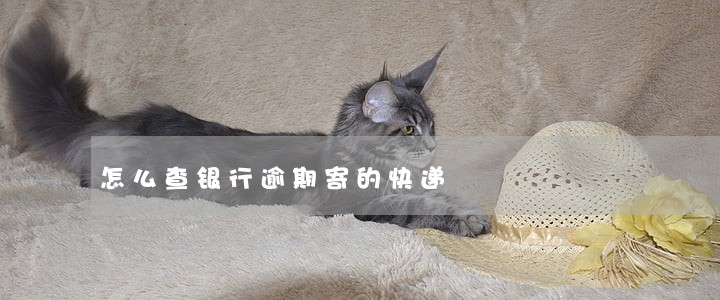 怎么查银行逾期寄的快递 怎么查银行逾期寄的快递