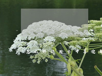 怎么样信用卡才算逾期 怎么样信用卡才算逾期