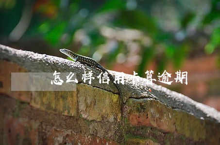 怎么样信用卡算逾期