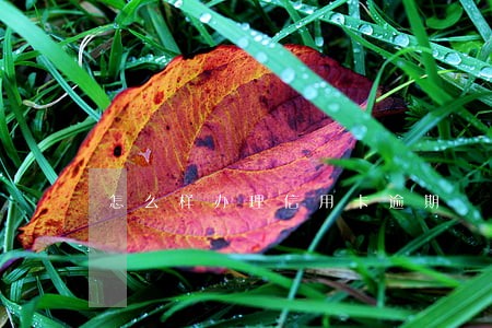 怎么样办理信用卡逾期 怎么样办理信用卡逾期