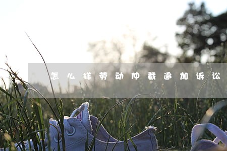 怎么样劳动仲裁追加诉讼请求 怎么样劳动仲裁追加诉讼请求