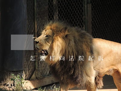 怎么样向法院起诉