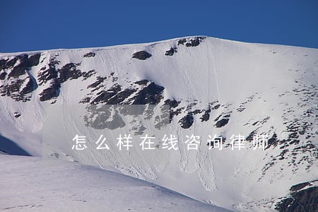 怎么样在线咨询律师 怎么样在线咨询律师