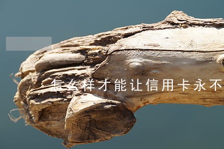 怎么样才能让信用卡永不逾期