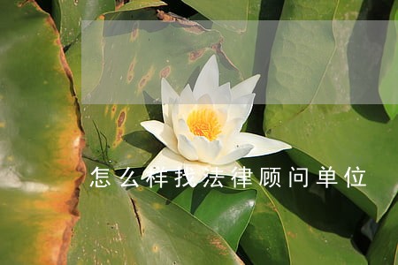 怎么样找法律顾问单位 怎么样找法律顾问单位