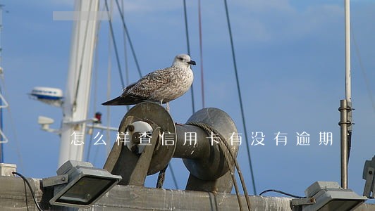 怎么样查信用卡有没有逾期 怎么样查信用卡有没有逾期