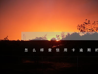 怎么样查信用卡逾期的时间 怎么样查信用卡逾期的时间