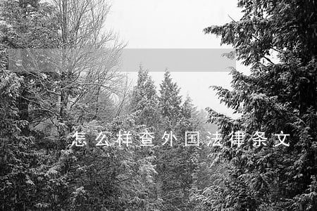 怎么样查外国法律条文