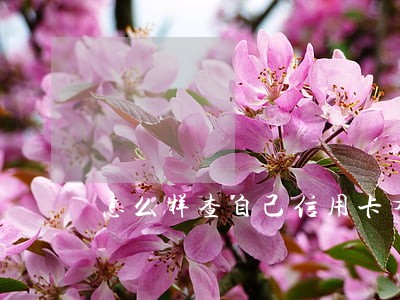怎么样查自己信用卡有没有逾期