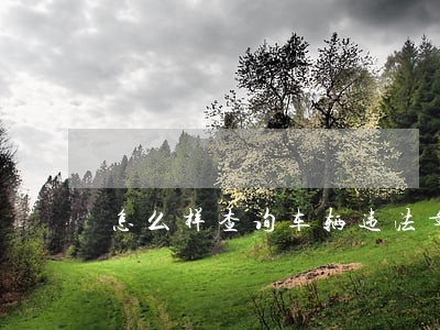 怎么样查询车辆违法章
