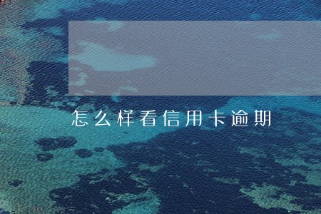 怎么样看信用卡逾期 怎么样看信用卡逾期