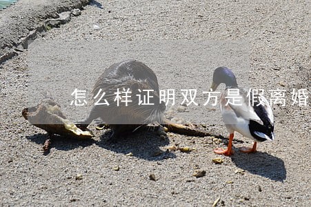 怎么样证明双方是假离婚 怎么样证明双方是假离婚
