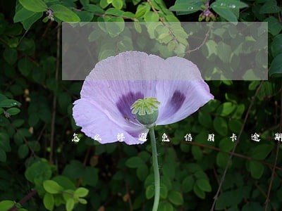 怎么样避免信用卡逾期联系家属 怎么样避免信用卡逾期联系家属