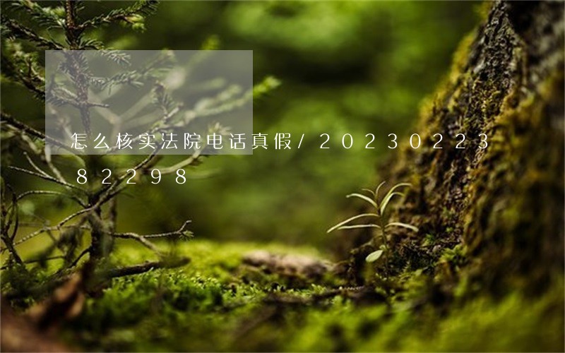 怎么核实法院电话真假/2023022382298