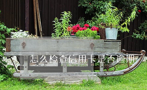 怎么检查信用卡是否逾期 怎么检查信用卡是否逾期