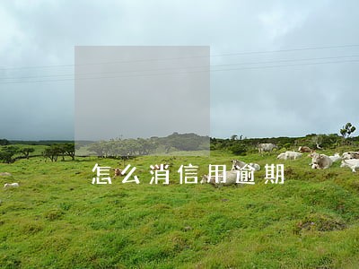 怎么消信用逾期