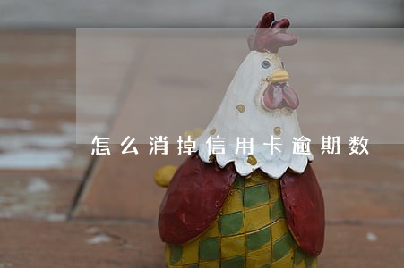 怎么消掉信用卡逾期数 怎么消掉信用卡逾期数