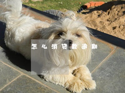 怎么消贷款逾期 怎么消贷款逾期