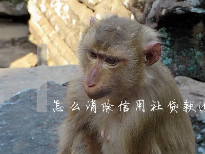 怎么消除信用社贷款逾期 怎么消除信用社贷款逾期