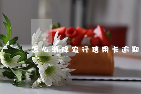 怎么消除农行信用卡逾期
