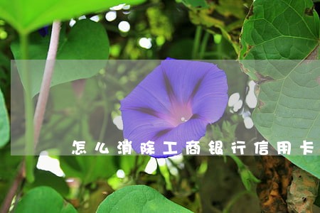 怎么消除工商银行信用卡逾期记录 怎么消除工商银行信用卡逾期记录