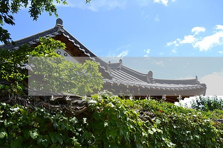 怎么消除广发信用卡逾期 怎么消除广发信用卡逾期