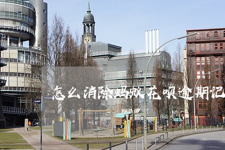 怎么消除蚂蚁花呗逾期记录 怎么消除蚂蚁花呗逾期记录